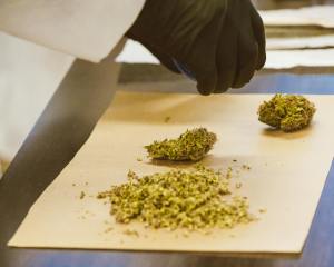 cannabis science, lab, weed